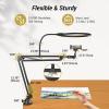 imageTONOR Overhead Ring Light Kit 10quot Ringlight with Heayy Duty Boom Arm and Phone Holder Adjustable Angle Suitable for Video Recording Live Stream Drawing Makeup Nail10 fr Tisch